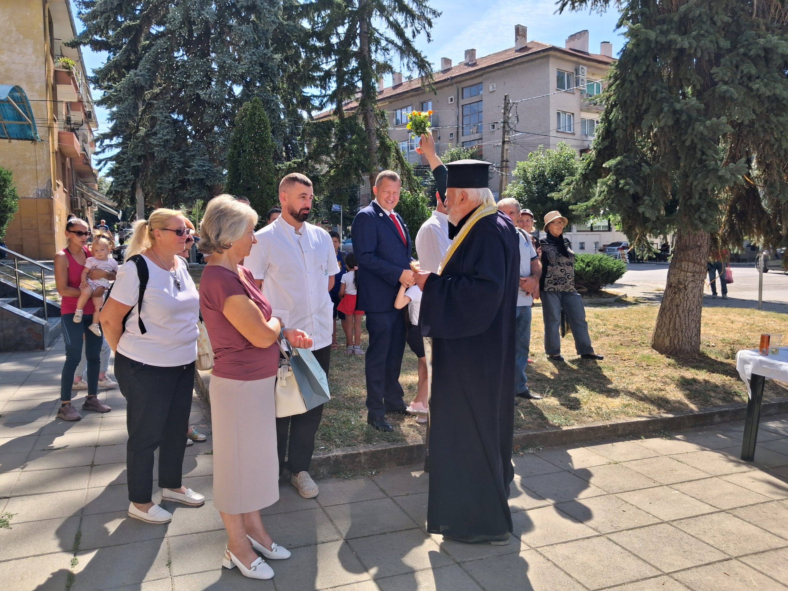 aptekazemen (3)