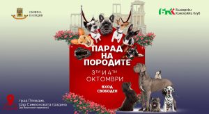 Парад на породите се завръща в Пловдив с безплатно събитие за любителите на кучетата